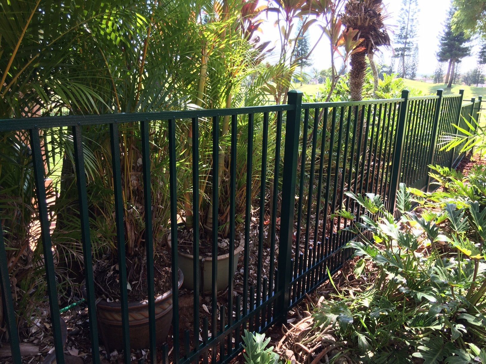 Green metal fence borders a garden with plants and trees.