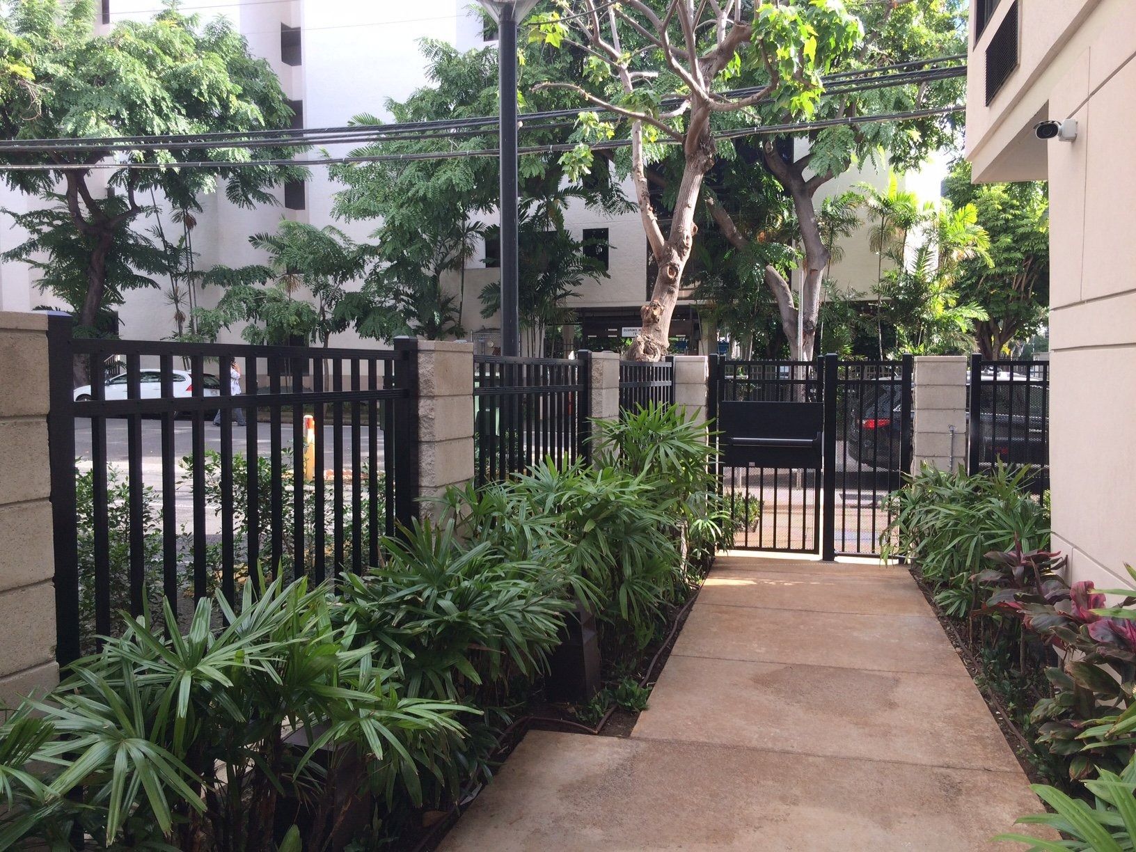 Black metal fence and gate with concrete posts; paved walkway with greenery. Buildings and trees in background.