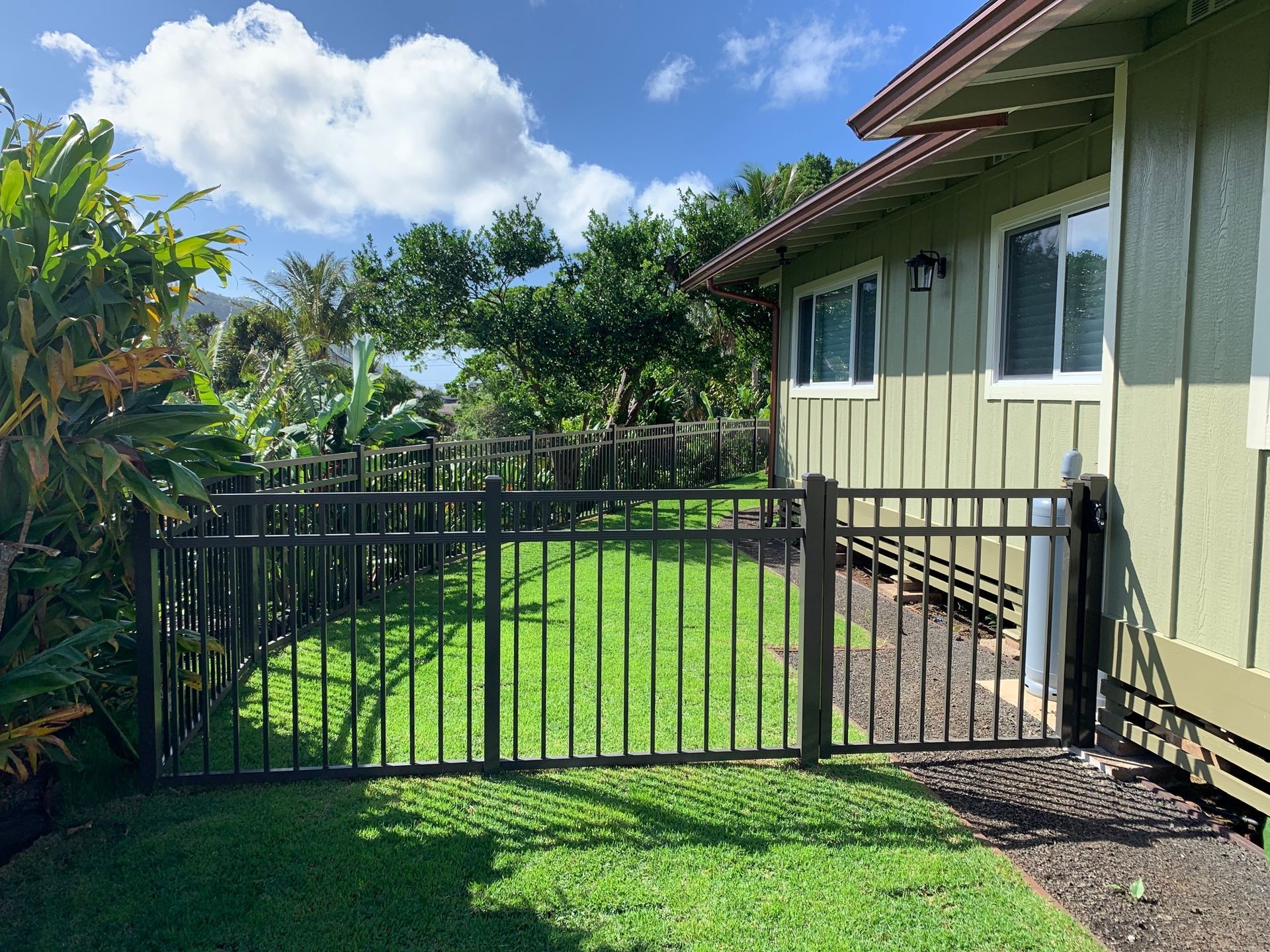 Black metal fence encloses a green lawn next to a green house with white-framed windows, against a backdrop of trees and a blue sky.