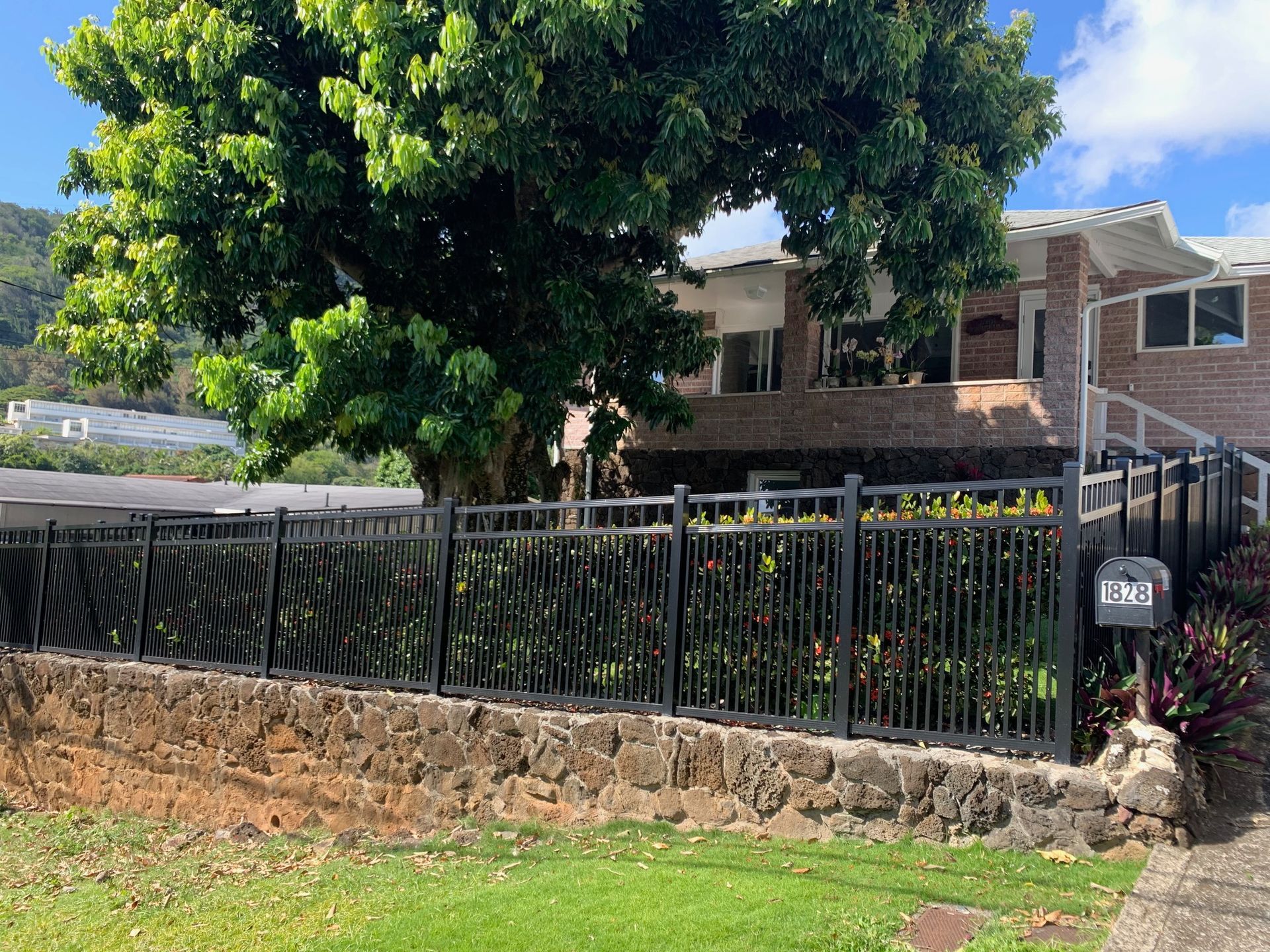 Black fence on a stone wall in front of a house, a large tree is behind.