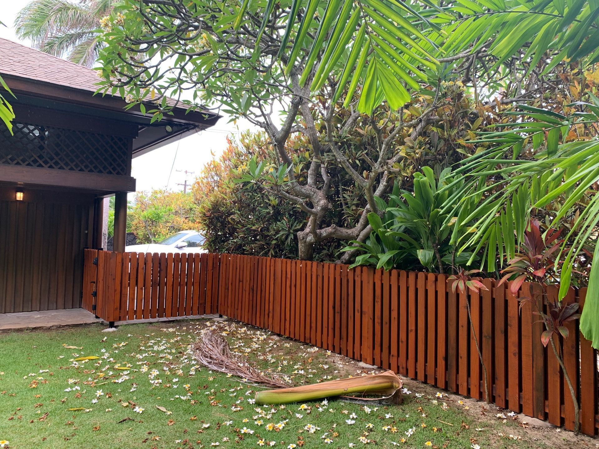 Wooden fence bordering a grassy yard with a building and tropical plants in the background.