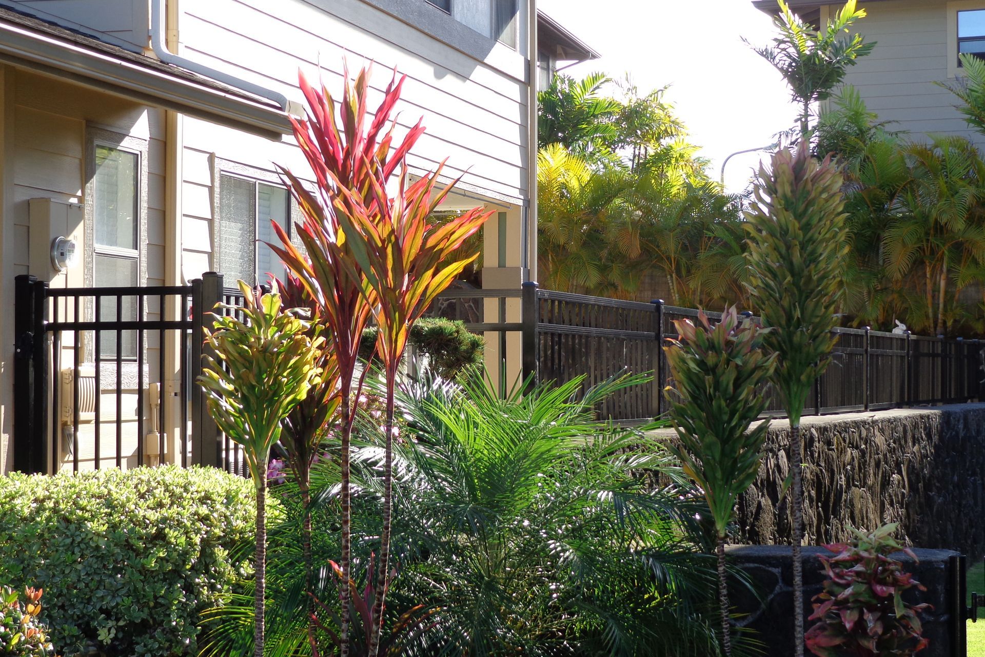 Colorful plants and black fence in front of a building with a white exterior.