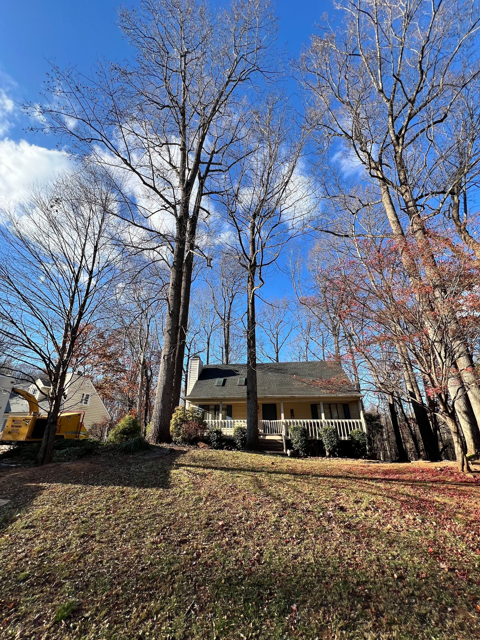 A house is surrounded by trees and leaves on a sunny day.