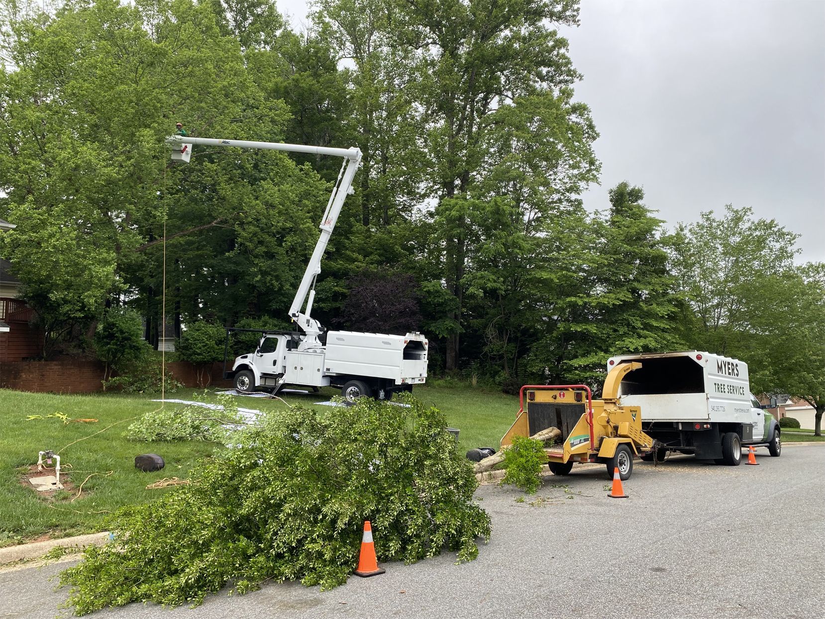 A white truck with a crane attached to it is cutting a tree.