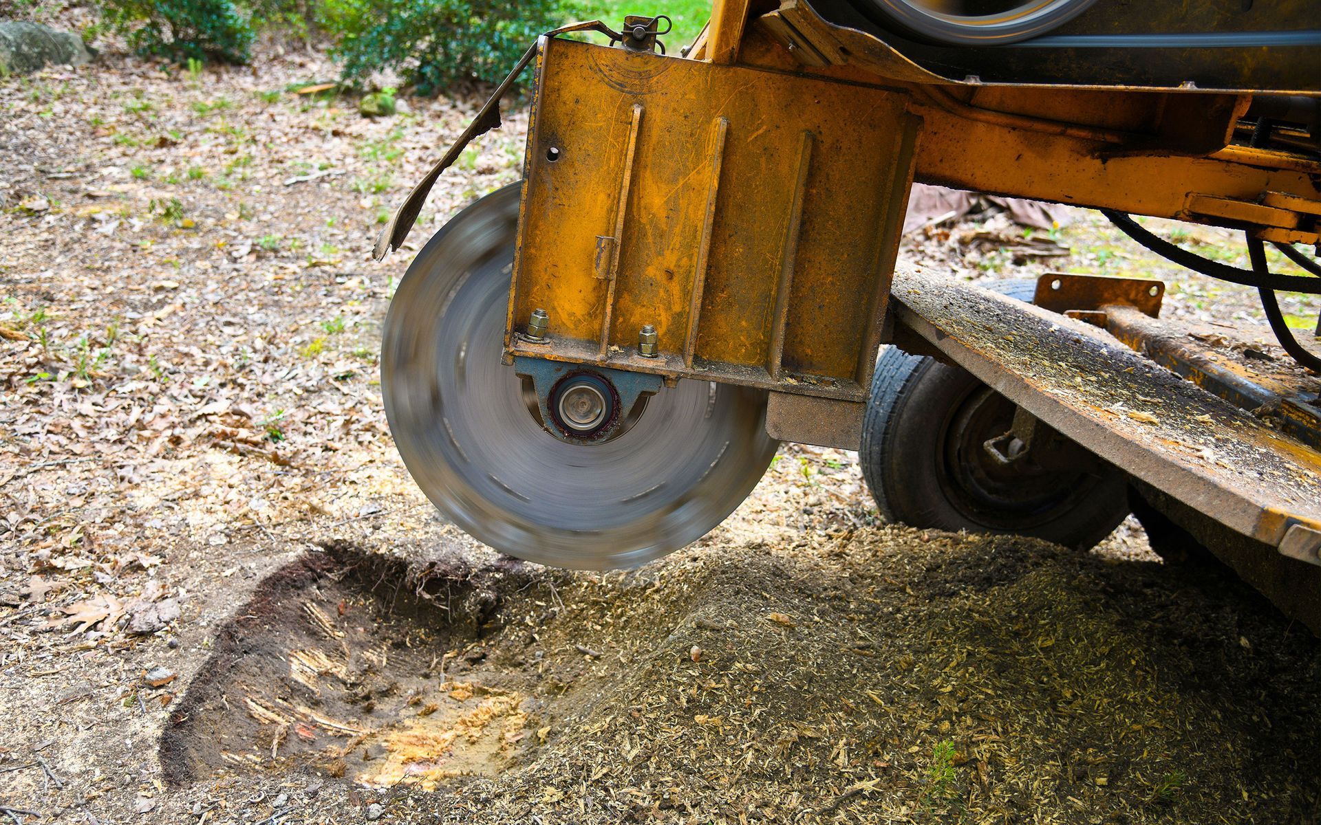stump grinding