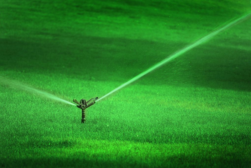 Sprinkler spraying water onto a vibrant green grassy field.