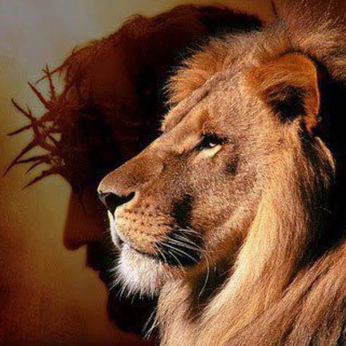 A lion is standing in front of a shadow of jesus wearing a crown of thorns.