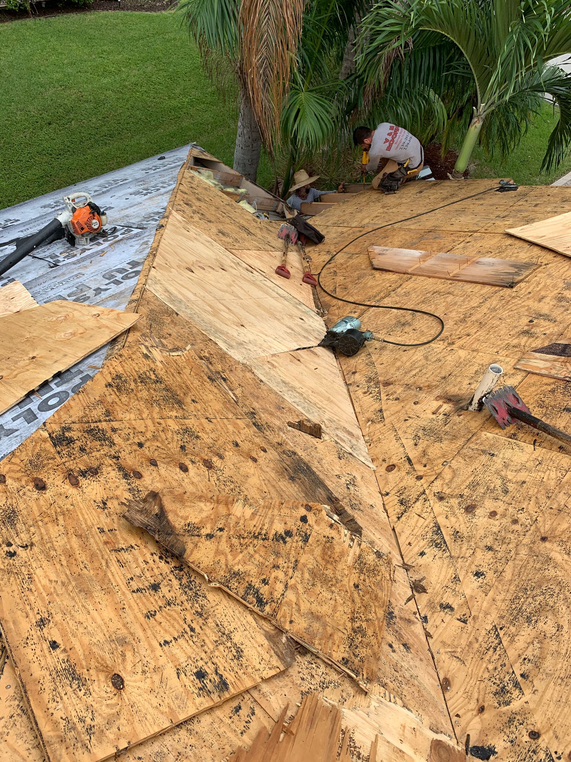 Roof under repair with exposed plywood, shingles, and a worker near palm trees
