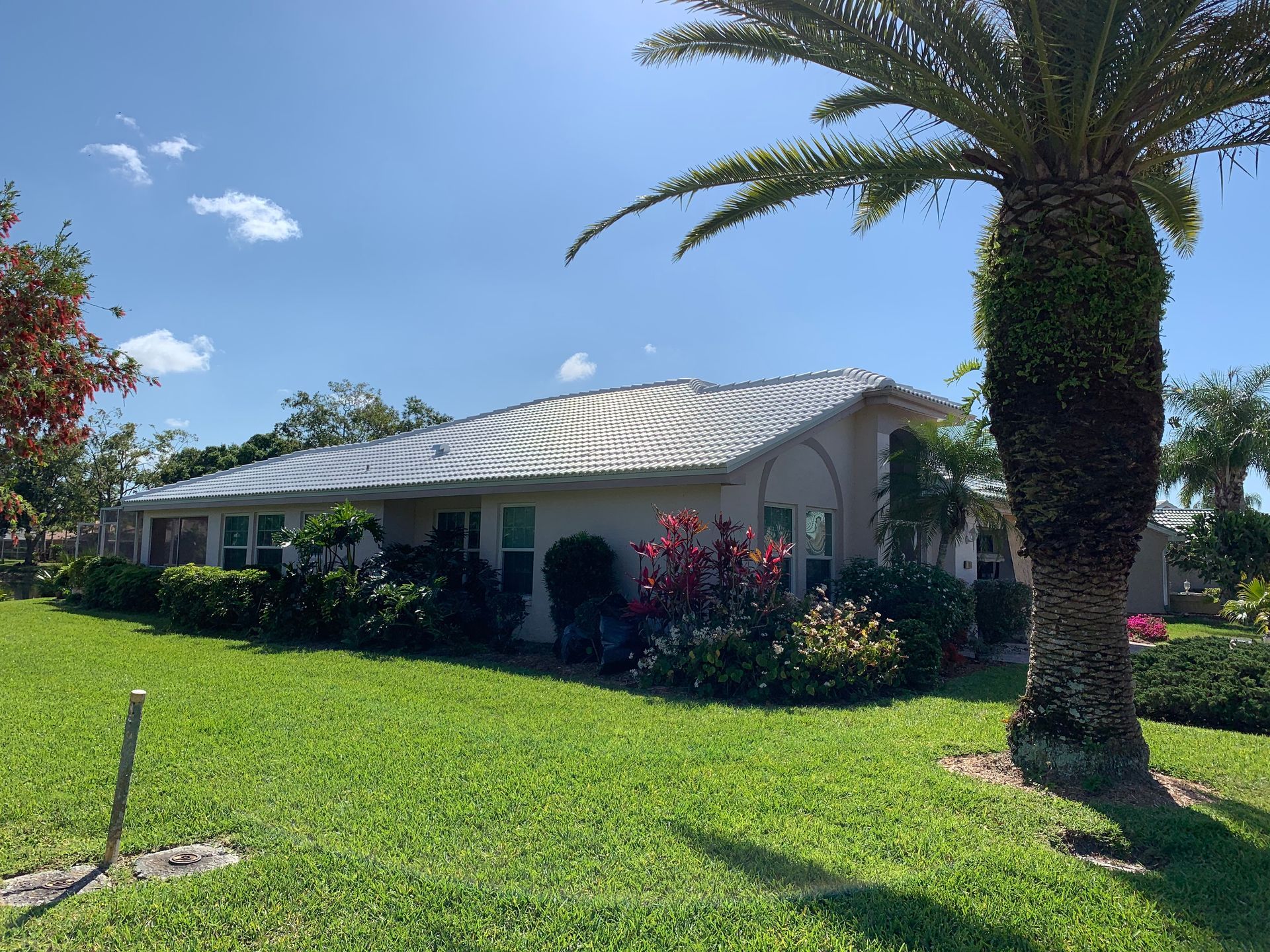 Single-story white house with a palm tree, green lawn, and blue sky