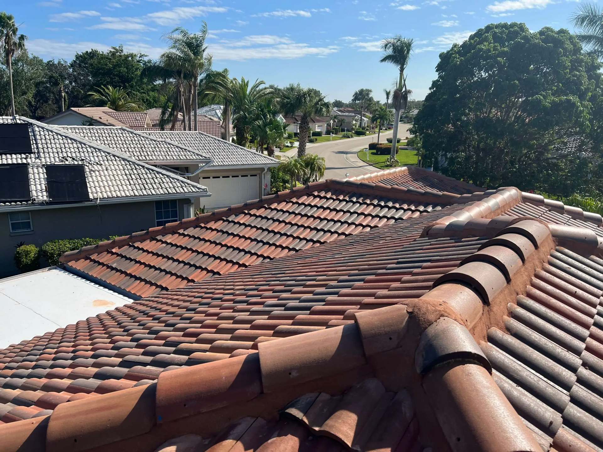 Rooftop with terracotta tiles overlooking a sunny suburban neighborhood with trees and houses