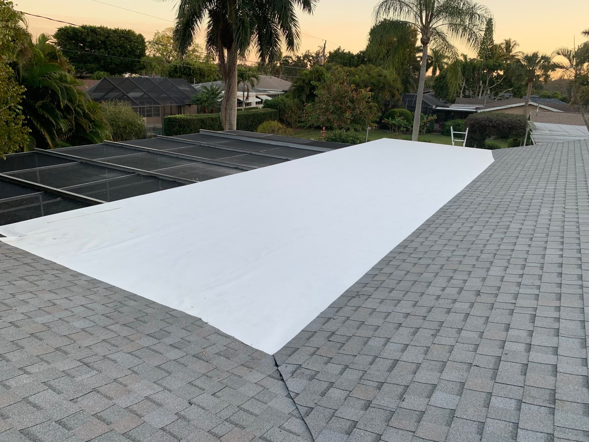 White tarp covering a large area beside a driveway, with palm trees and houses at sunset
