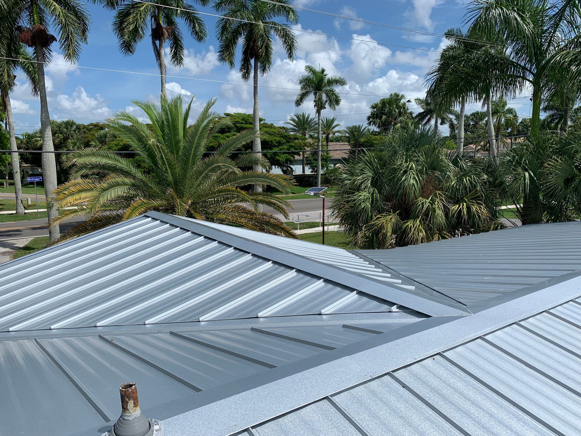 Silver metal rooftops with palm trees and a blue sky in the background