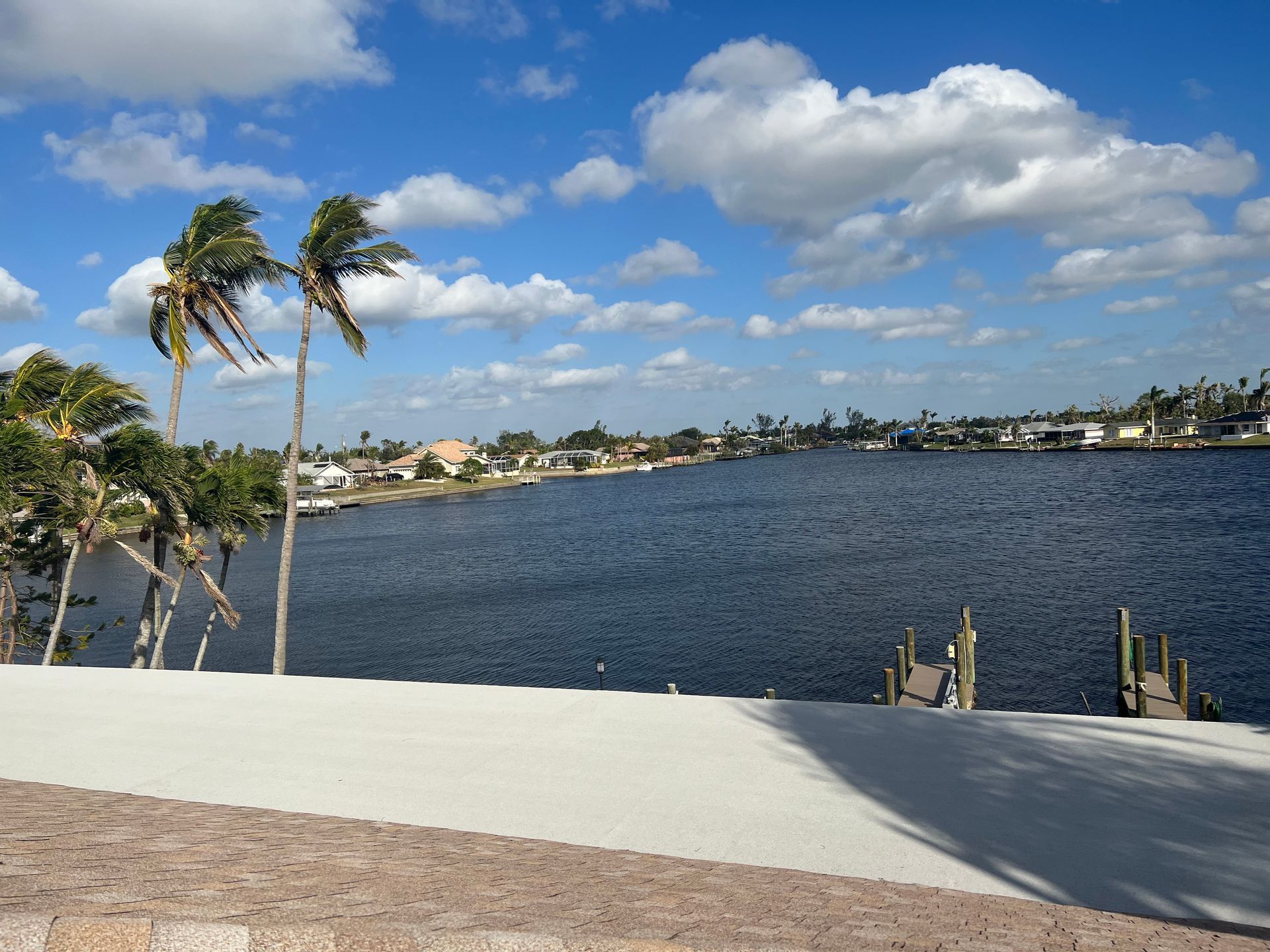 Palm trees beside a waterfront with rippled blue water, cloudy sky, and a low stone wall