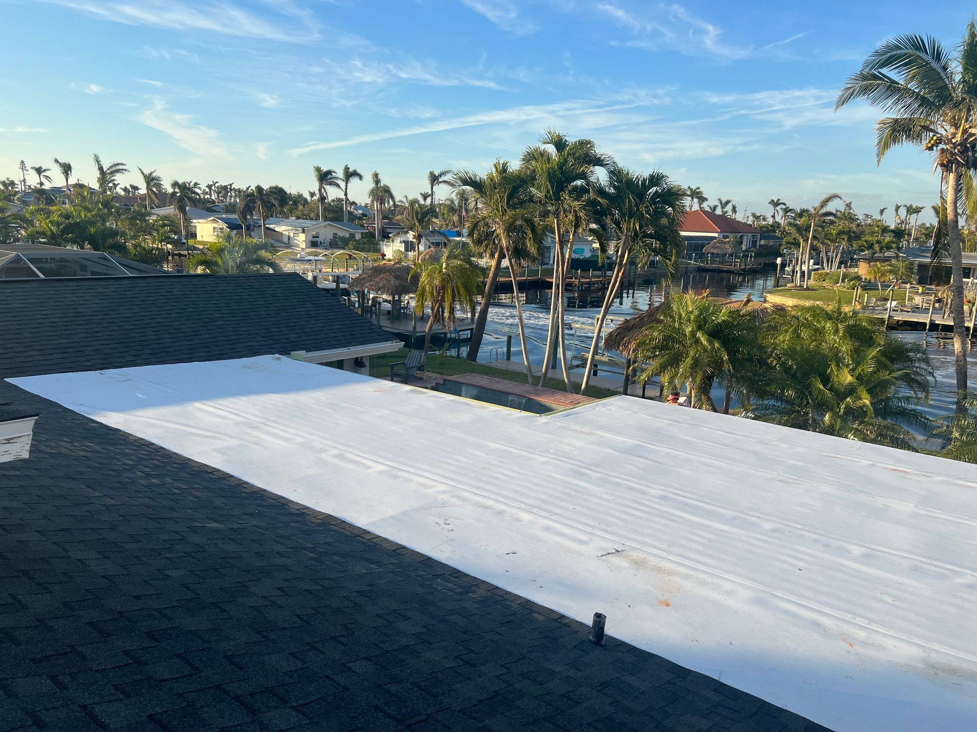 Rooftop view of palm trees and buildings under a clear blue sky, with a white roof in the foreground