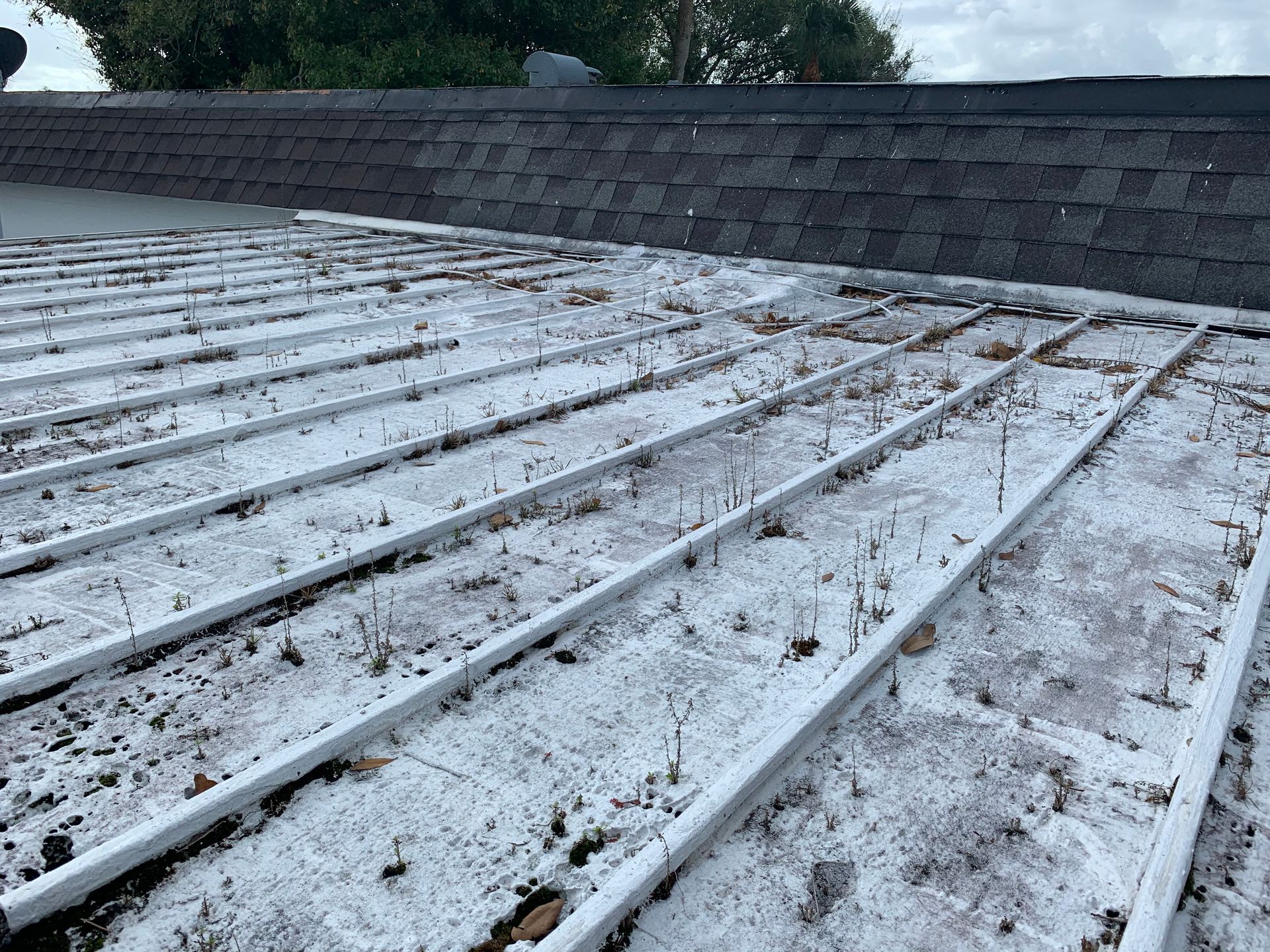 Snow-covered roof with rows of solar panels and a shingled ridge