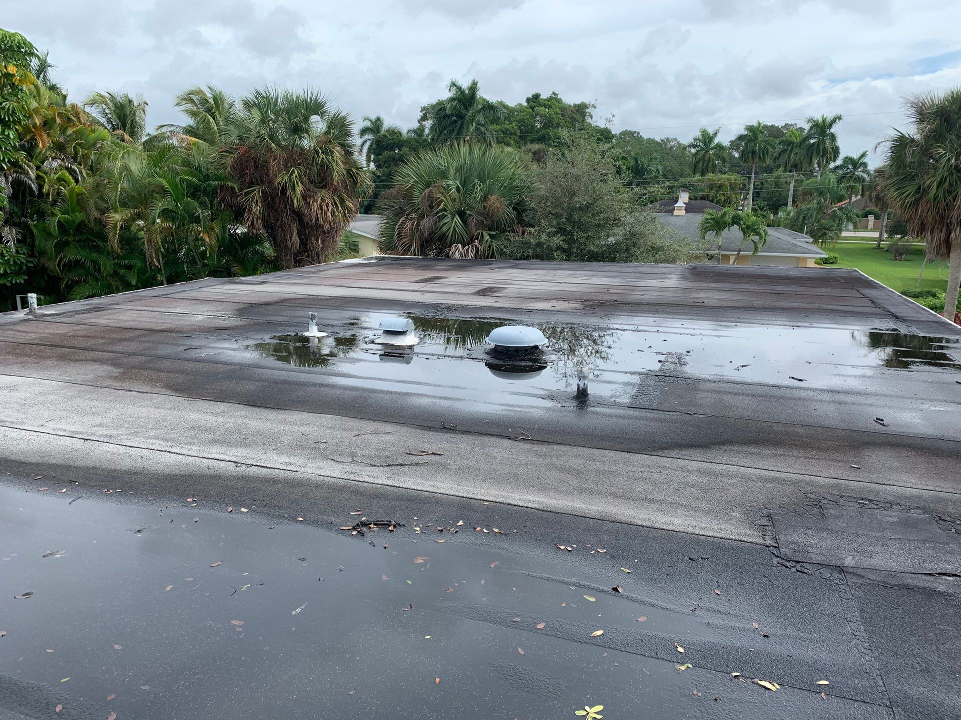 Flooded rooftop with puddles and trees in the background after rain