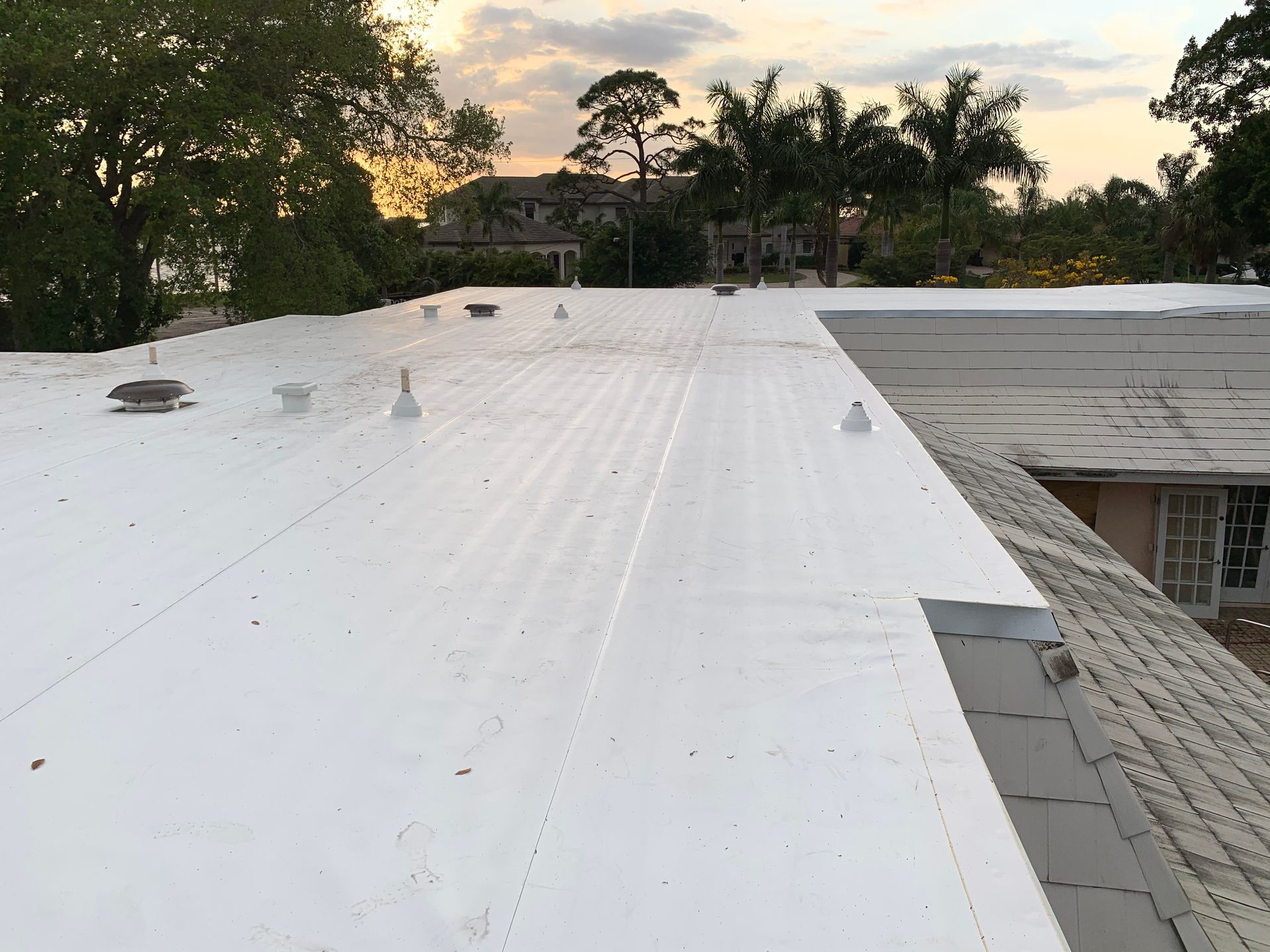 Flat white rooftop at sunset beside gray shingles and trees in the background