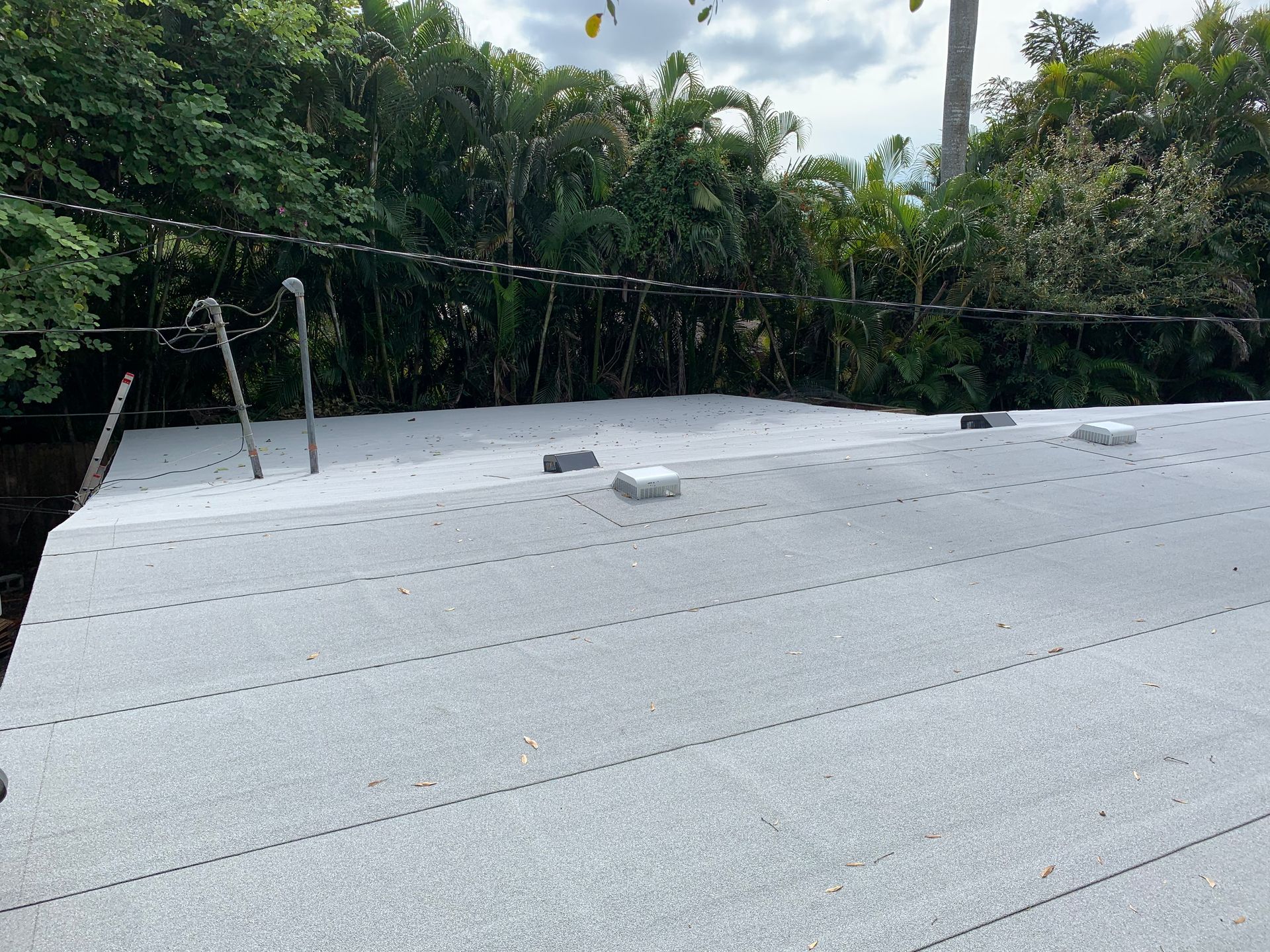 Flat white rooftop with two vents, backed by dense green trees under a cloudy sky