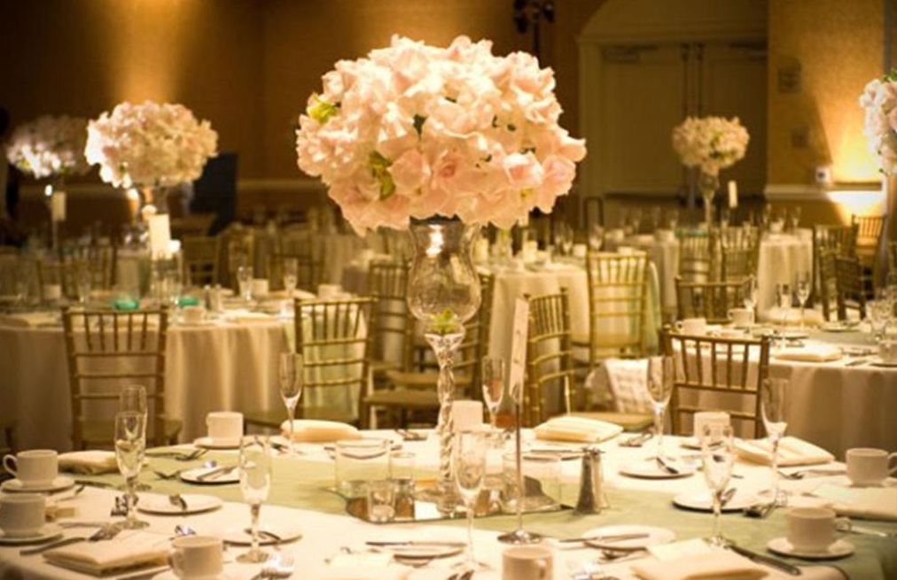 Spectacular party rental options and more