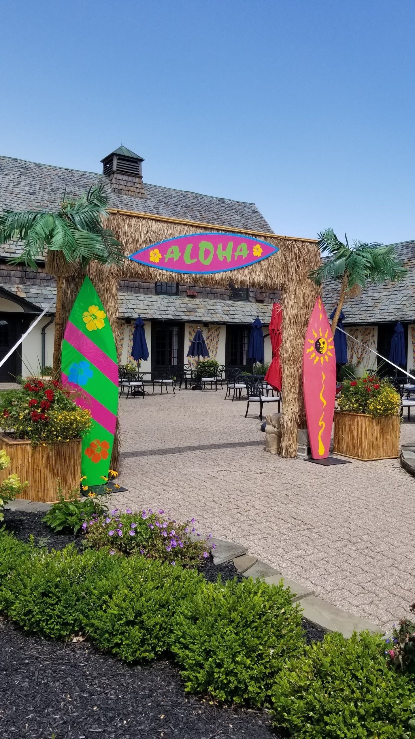 Spectacular party rental options and more