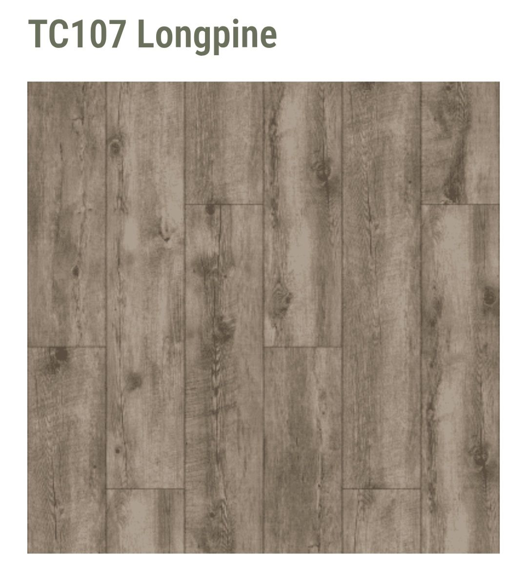 A square sample of TC107 Longpine flooring featuring a textured, cool-toned light brown wood grain pattern