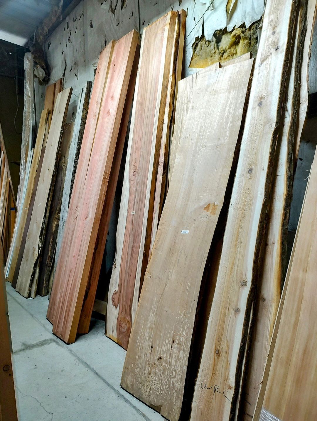 Several tall, rough-cut wood slabs with natural live edges stand leaning against a concrete wall in a workshop