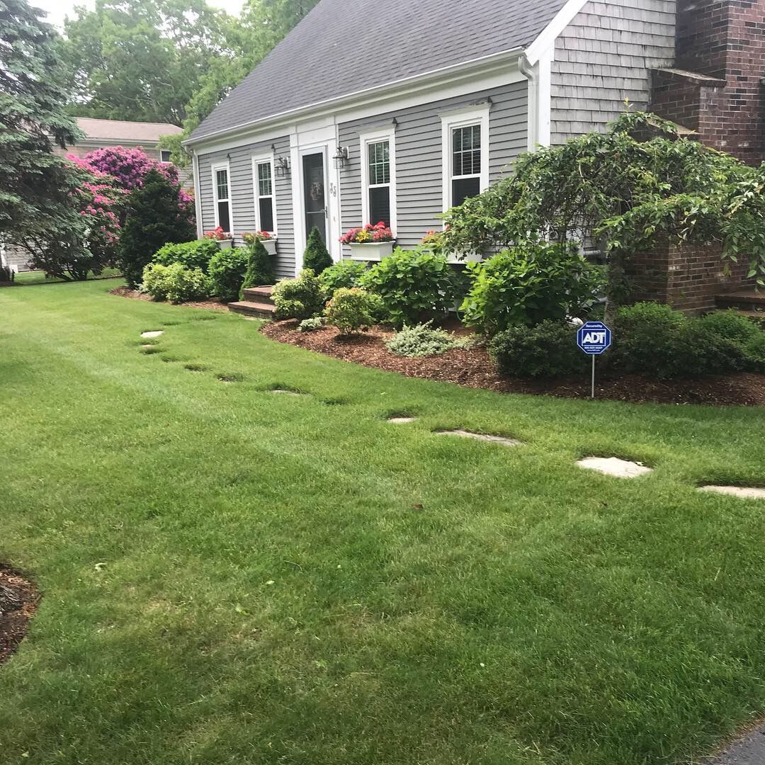 A house with a lush green lawn and a for sale sign in front of it.