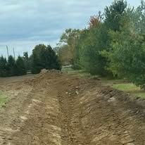 A dirt road going through a forest with trees on both sides.