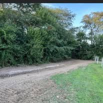 There is a dirt road going through the woods.