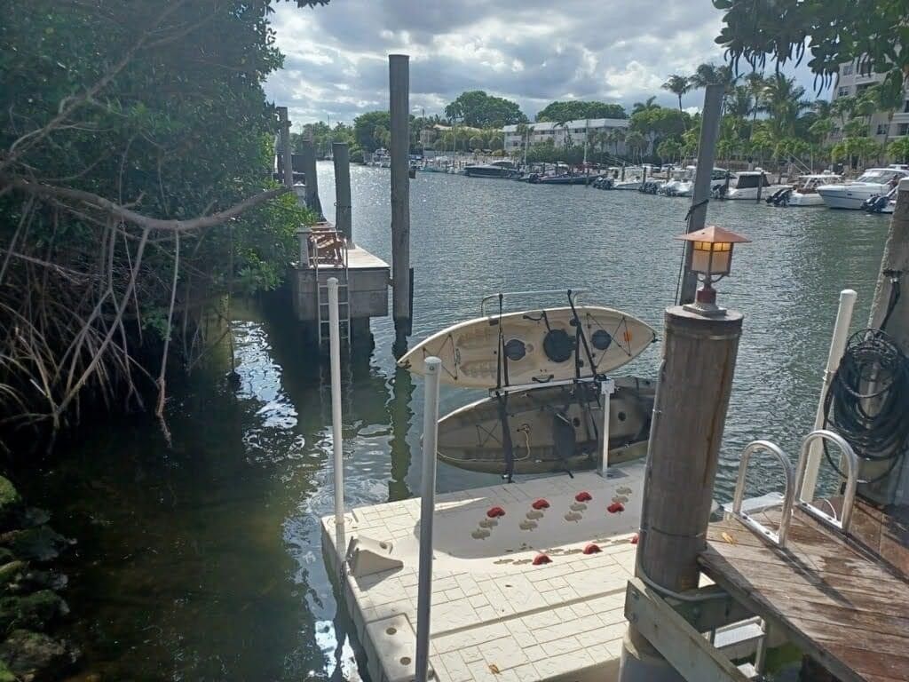 Kayak launch and lift for docks