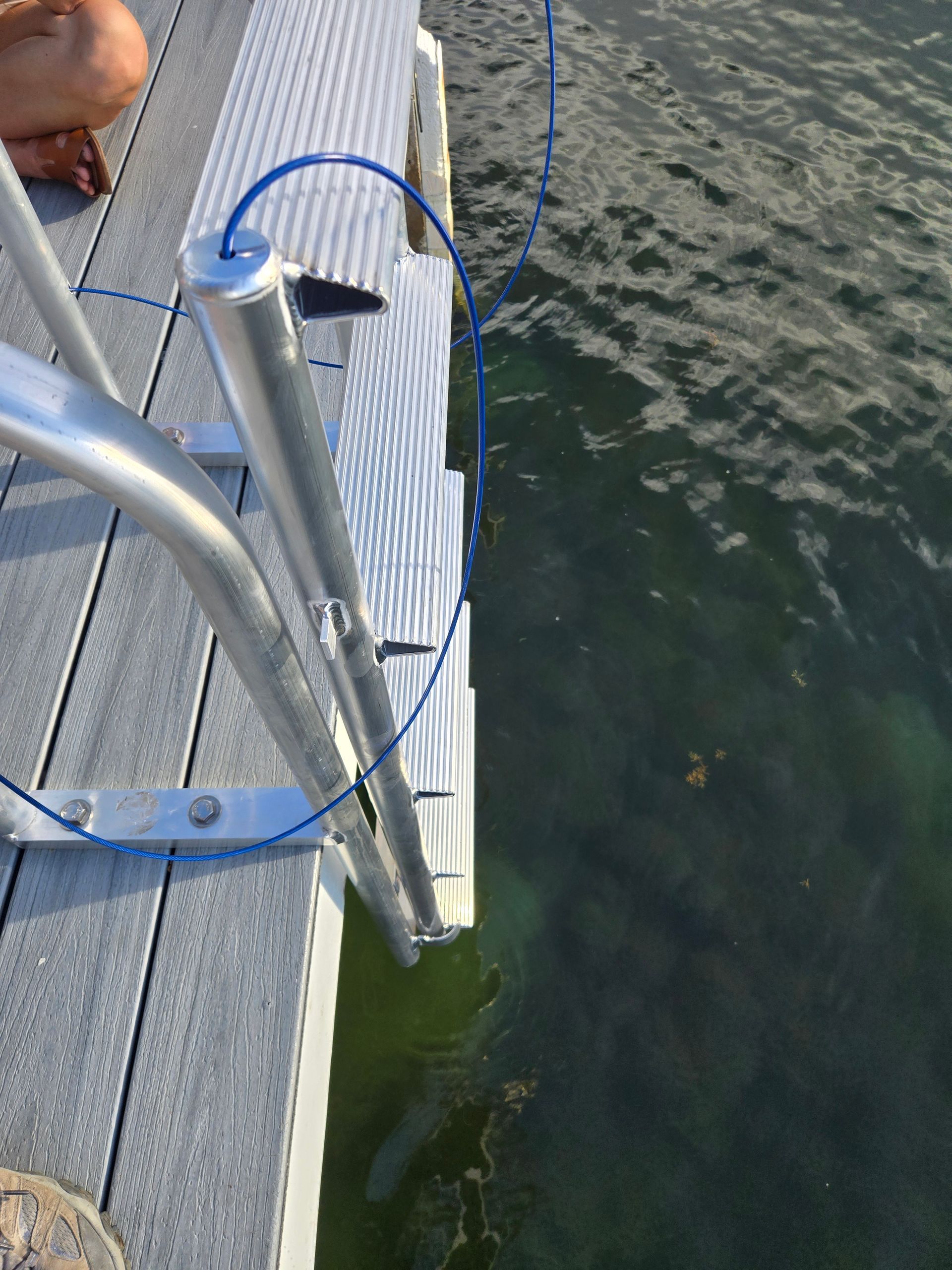 Silver ladder attached to a wooden dock descends into murky green water. A blue cable is visible.
