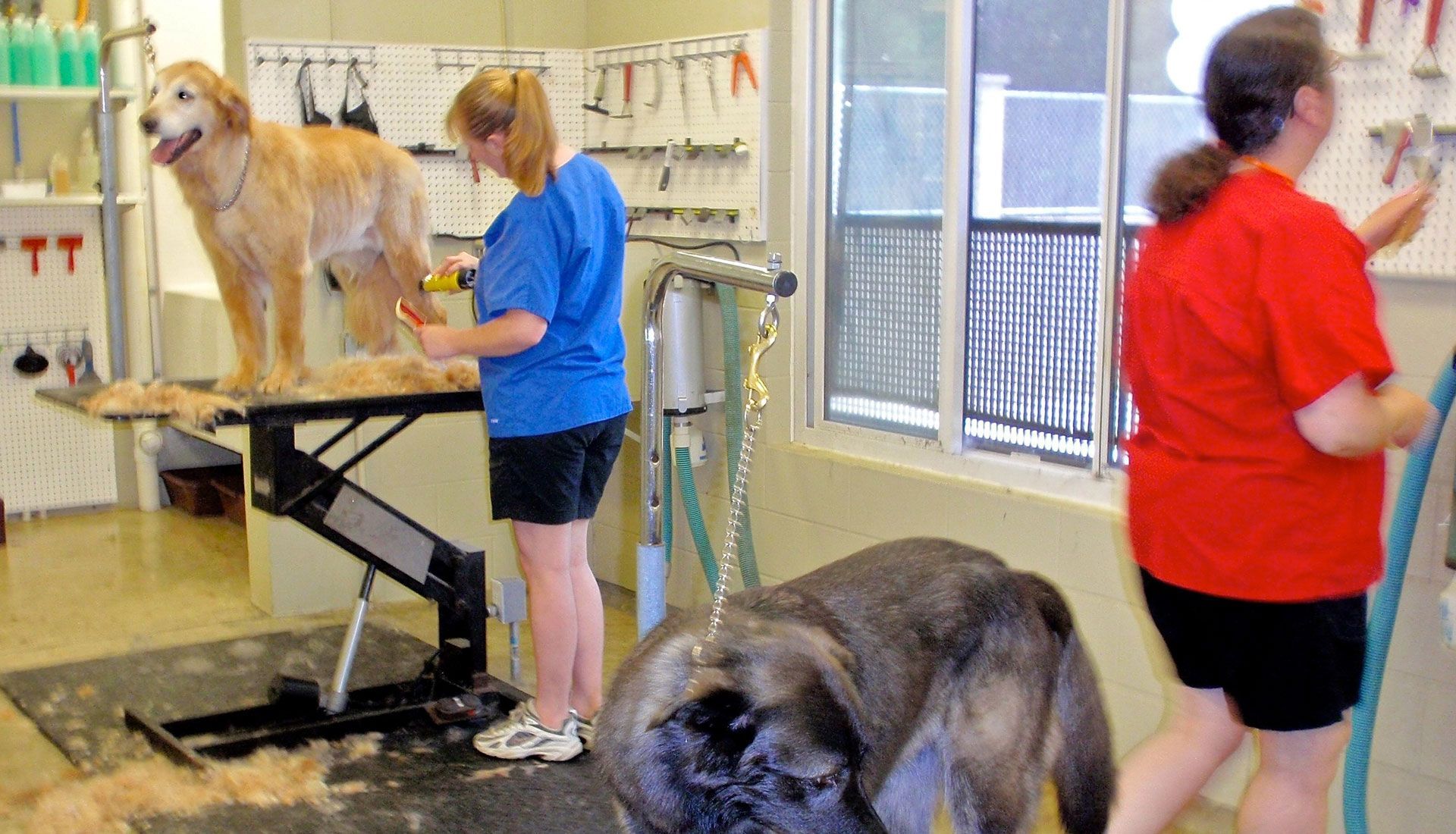 Topdog Pet Care