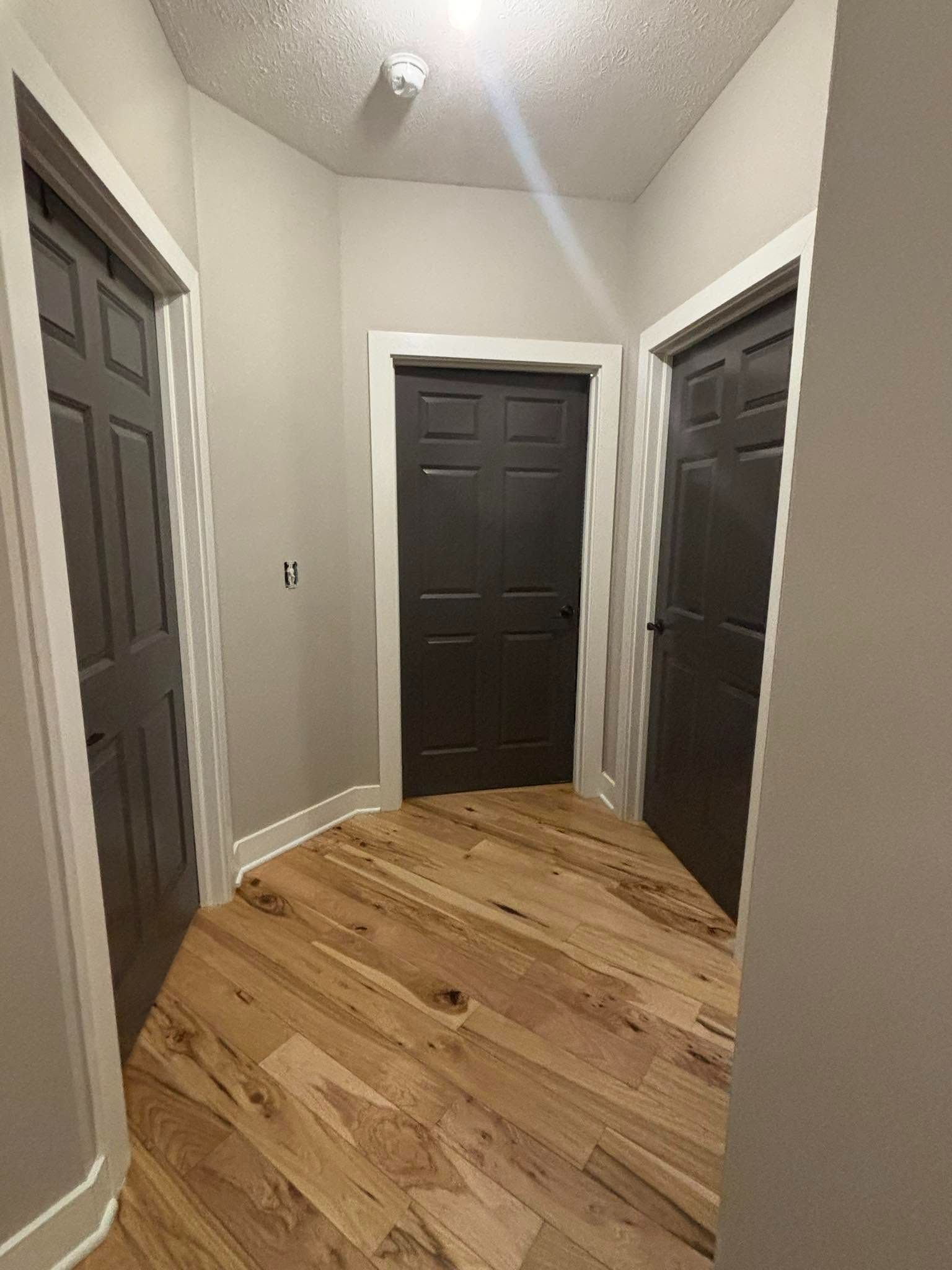Narrow hallway with three dark doors, light walls, and curved hardwood floor