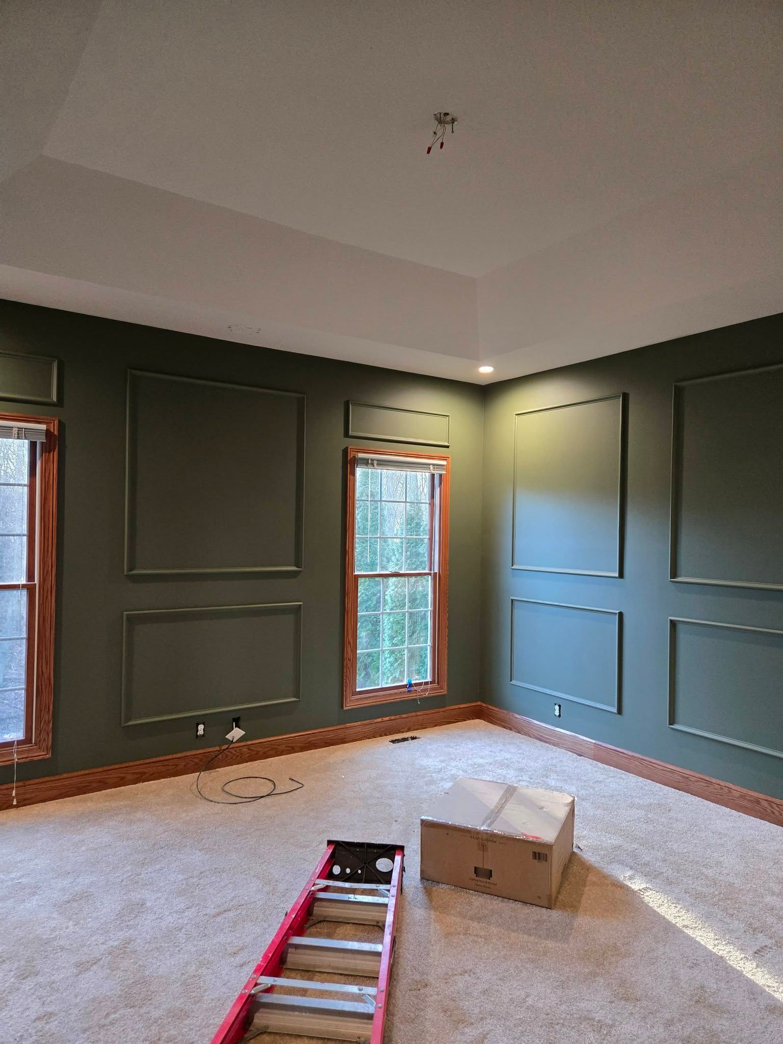 Empty room with dark green walls, carpet, windows, and a ladder on the floor