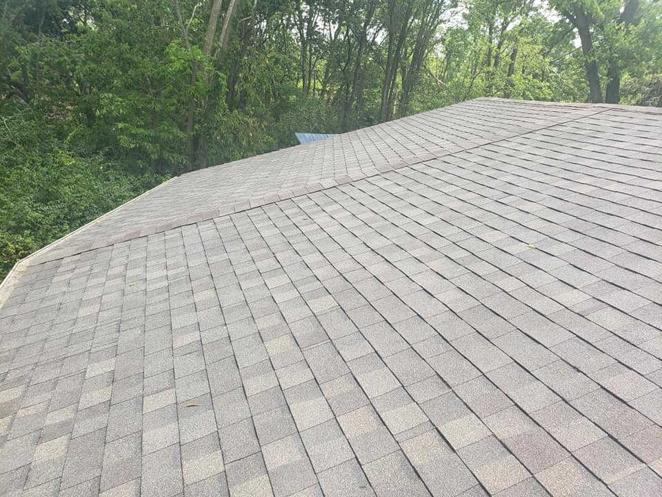 Shingle roofing