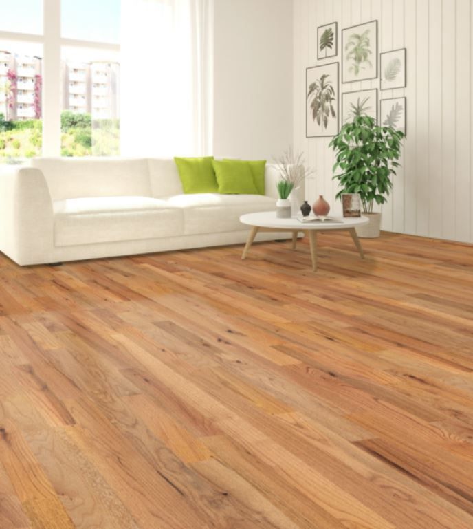 A living room with hardwood floors and a white couch