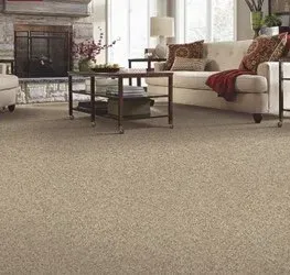 Carpet Flooring