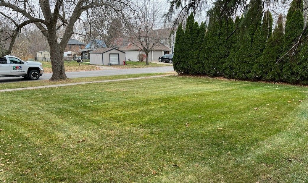 Backyard lawn with trees, shrubs, and houses in the background on an overcast day