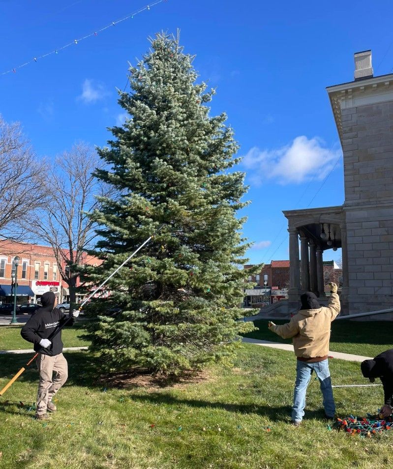 Two people installing a large evergreen Christmas tree outdoors on a sunny day