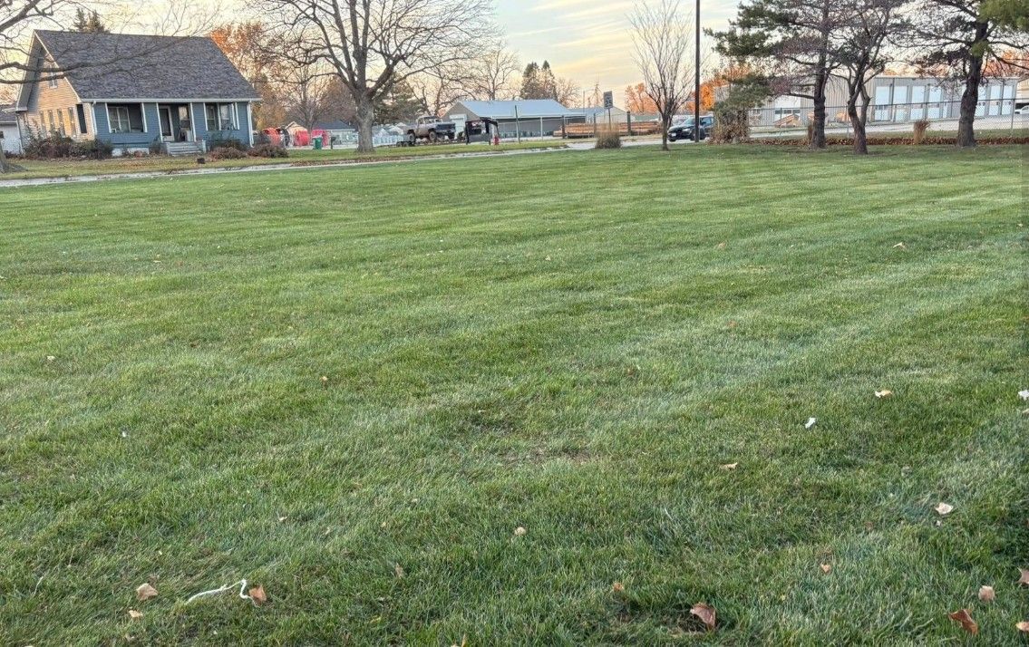 Grassy field in a park with houses and leafless trees in the background at sunset