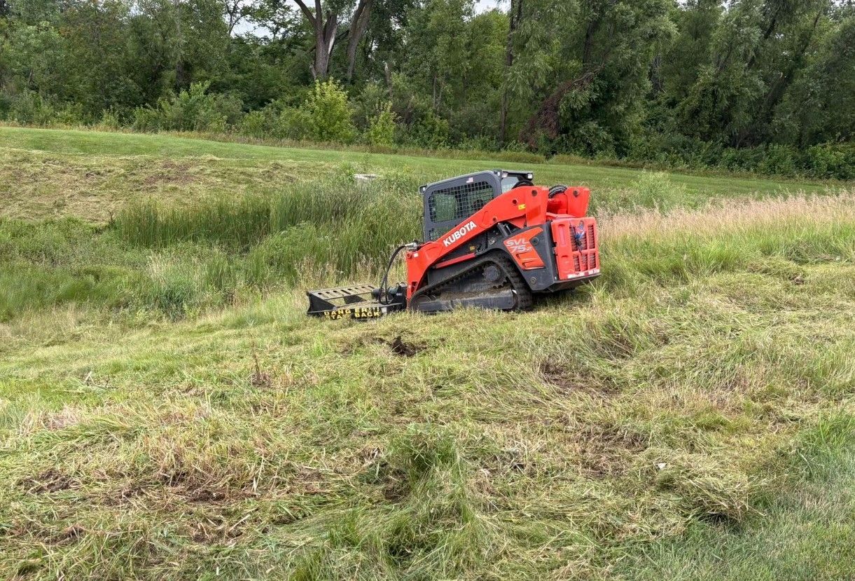 Orange skid-steer working in a grassy field beside trees