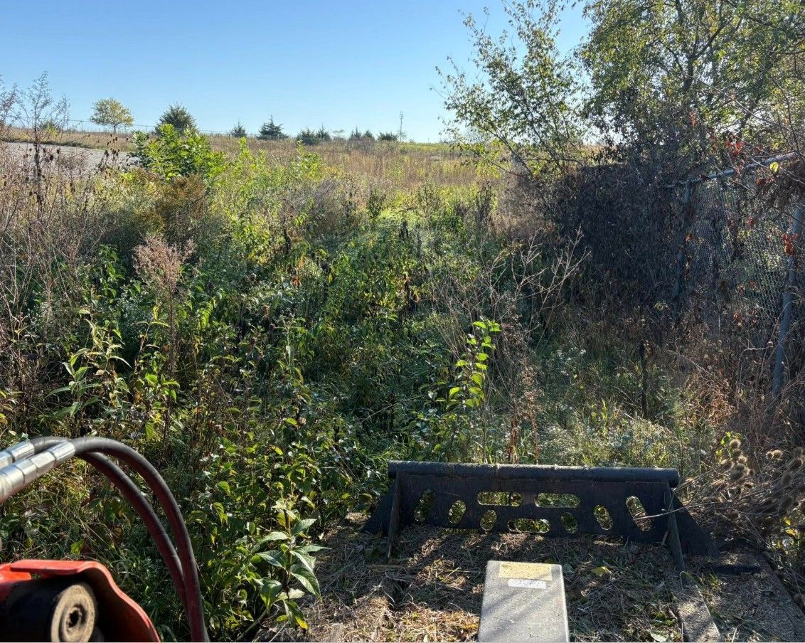 Overgrown field with brush and trees, with a dark bench and tractor equipment in the foreground