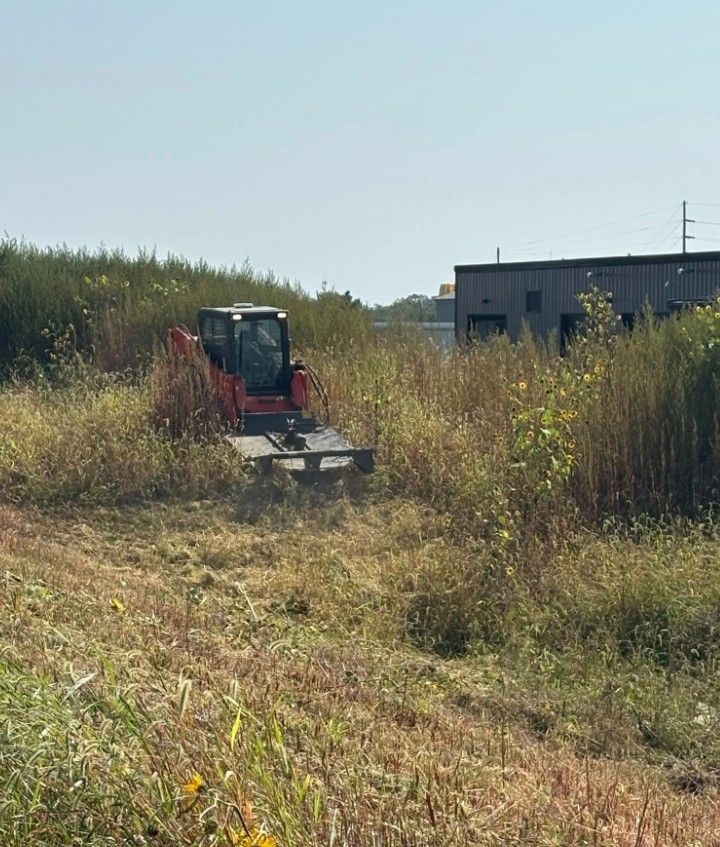 Small red excavator mowing tall grass in a field beside a building on a sunny day