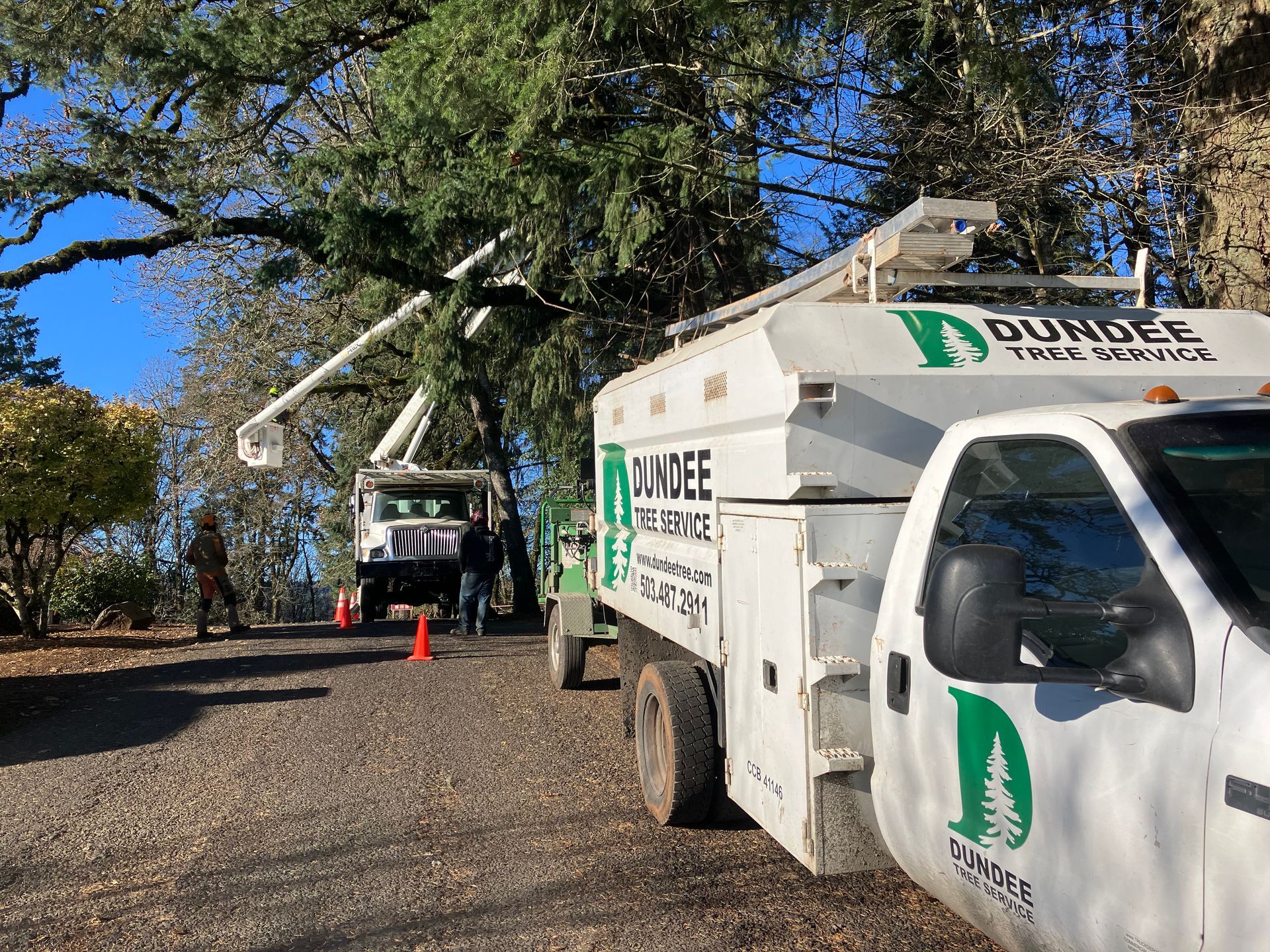 A white truck is parked on the side of the road next to a tree.