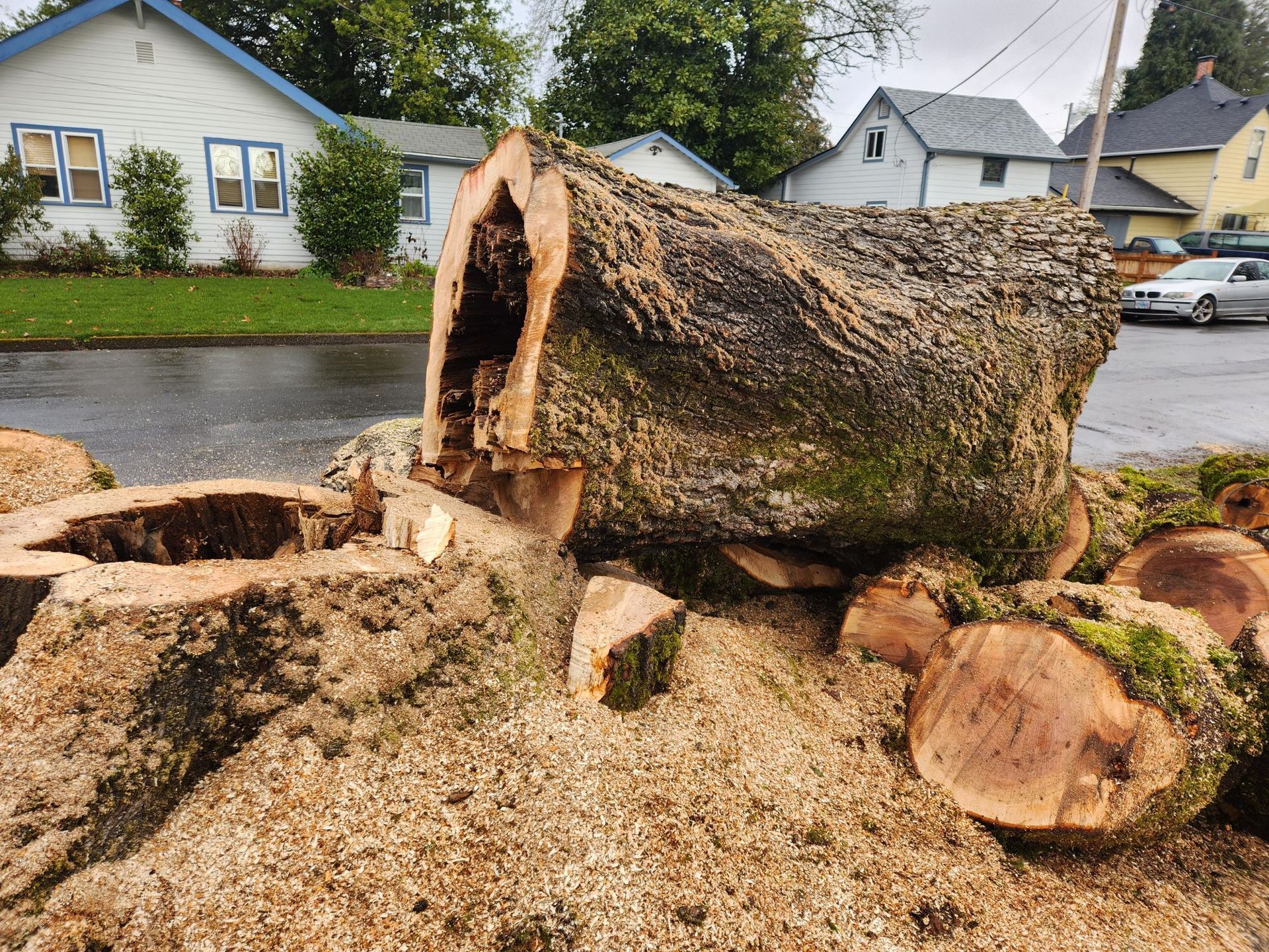 A large tree stump is sitting on the side of the road.