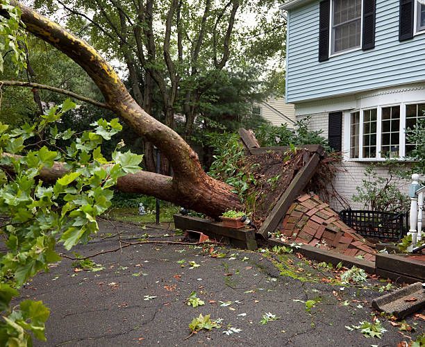A tree has fallen on a brick wall in front of a house.