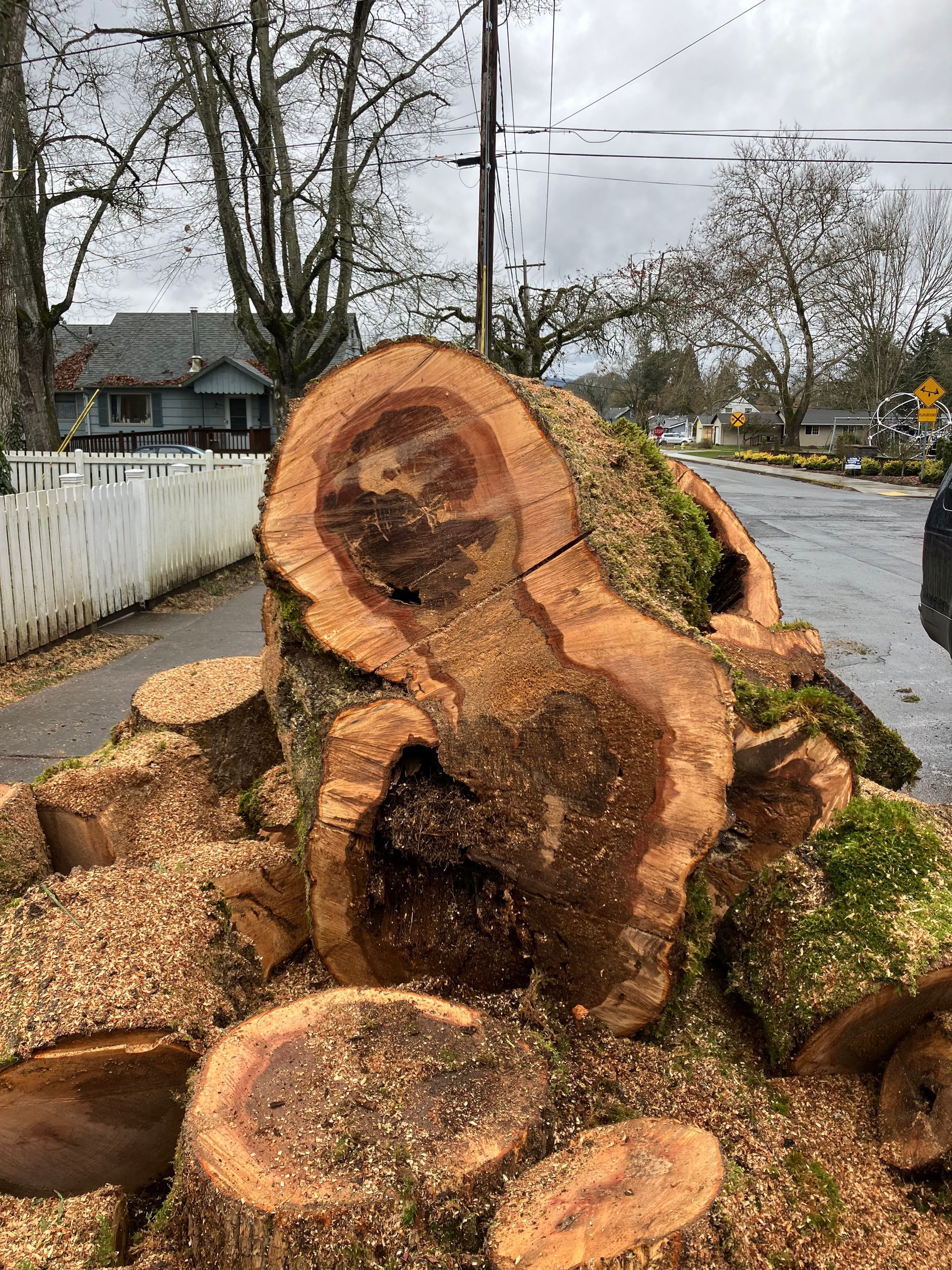 A pile of tree stumps sitting on the side of a road.