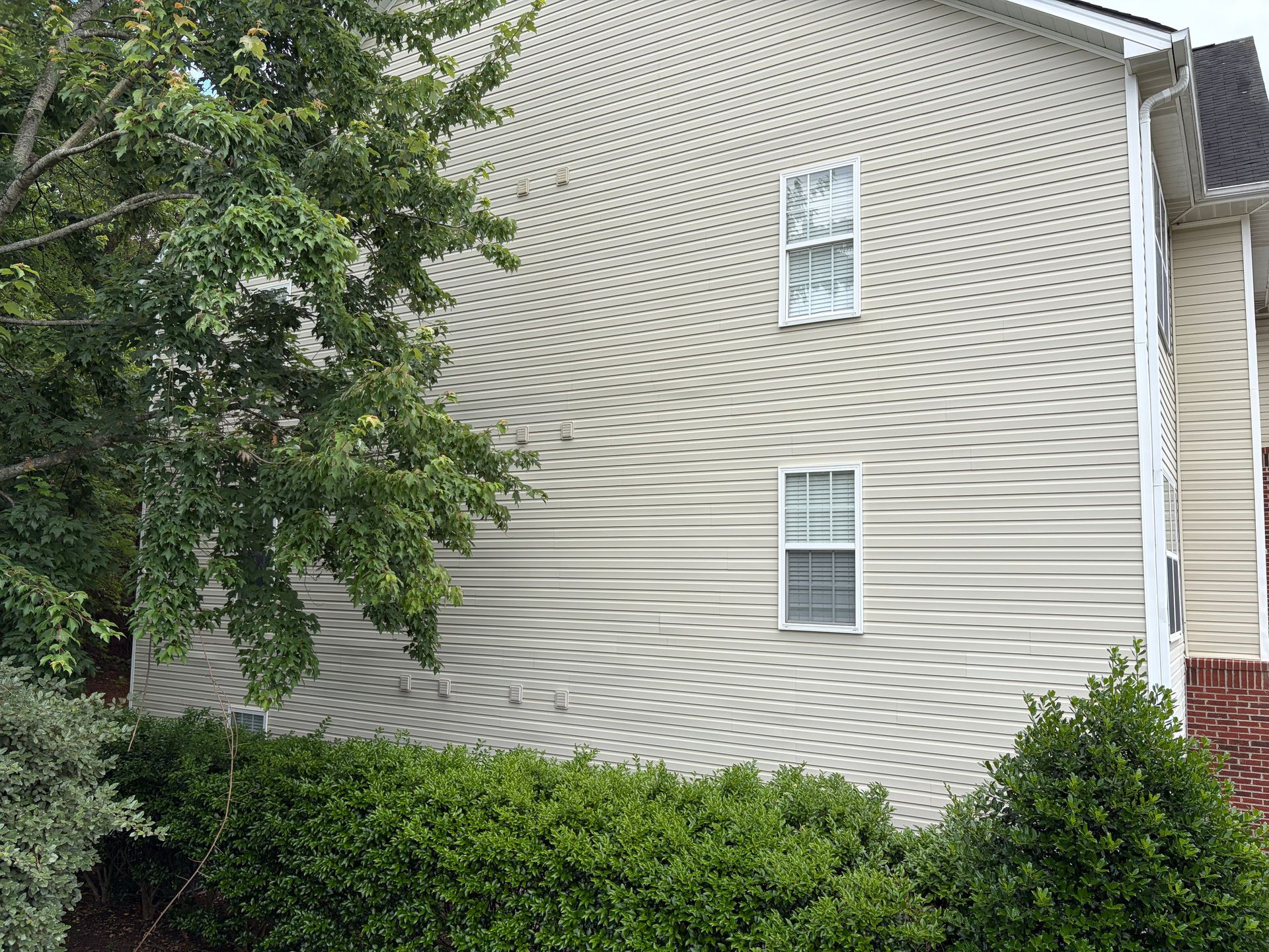Side of a beige house with white-trim windows, shrubs below, and a tree partially covering the left side.
