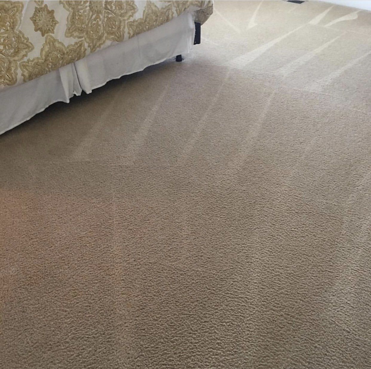 Carpet Cleaning