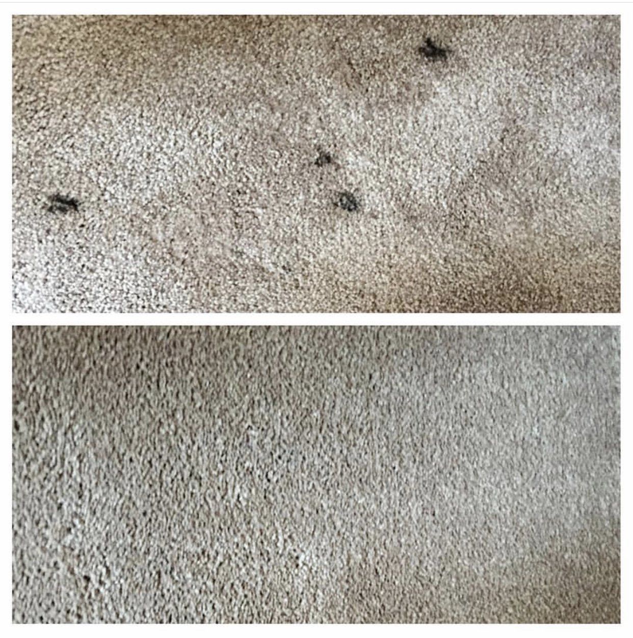 Carpet Cleaning